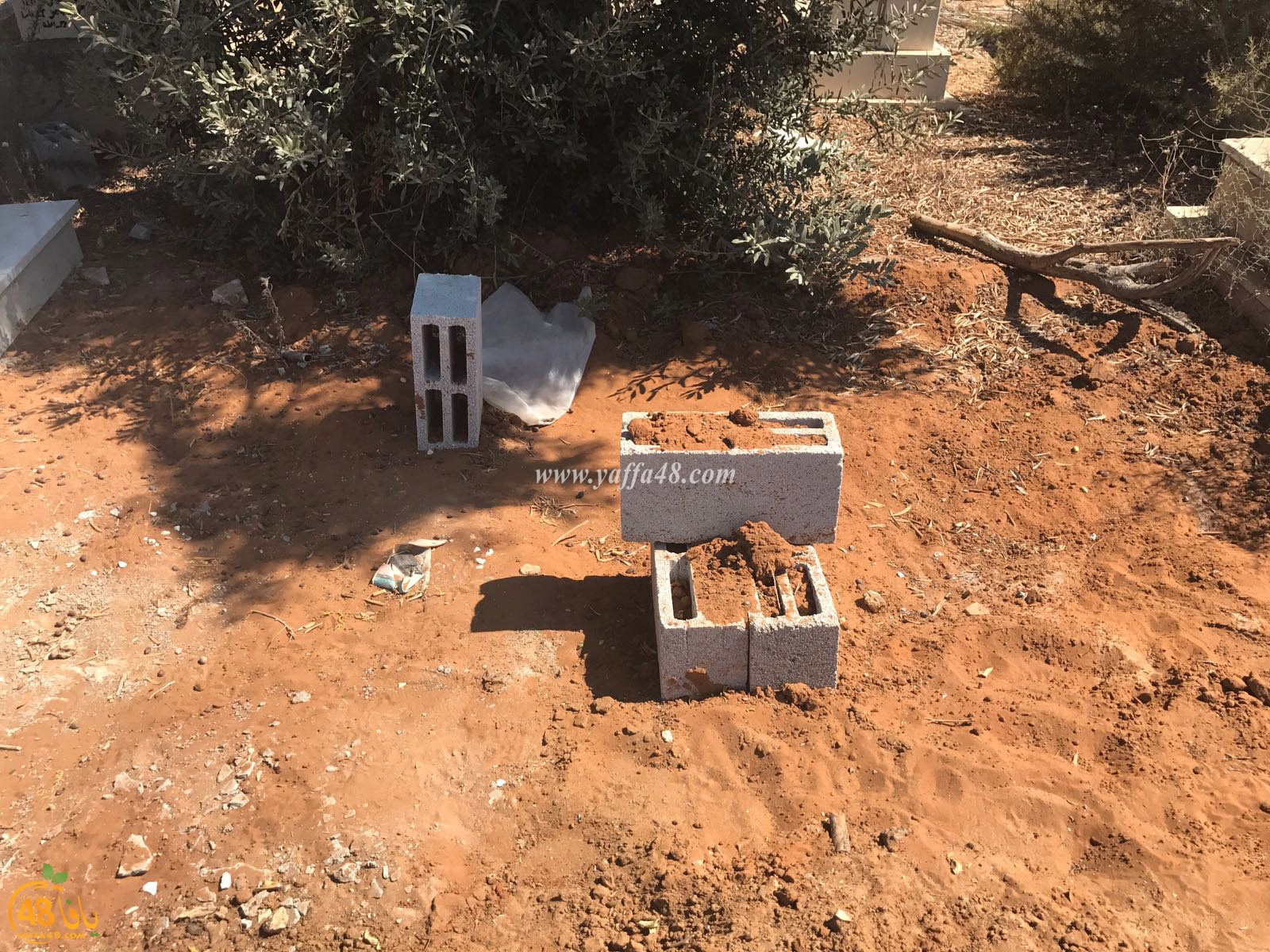 tasoo aswsaj3h (7).jpg